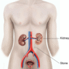 Exploring Urology Services