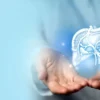 How to Effectively Communicate with Your Liver Specialist