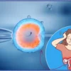 Signs That You Should Start IVF Treatment